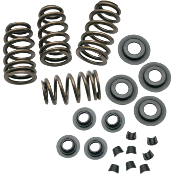 SPRING KIT .650 84-04