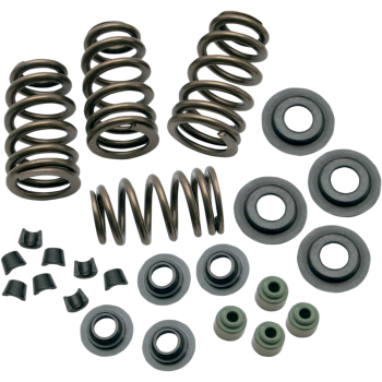 SPRINGS VLV .650 05-14