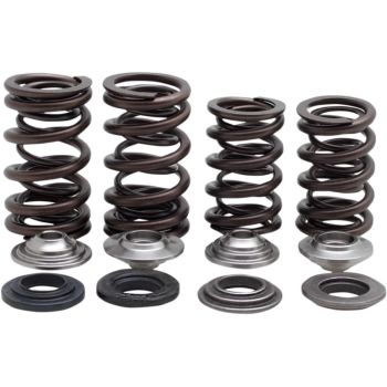 SPRING KIT CRF450R 2013