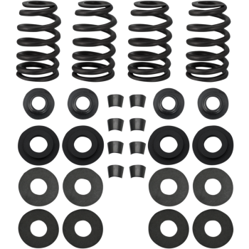 SPRINGS .585" 99-04TC
