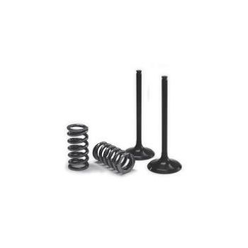 INTAKE VALVE/SPRING KIT
