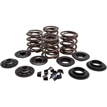 VALVE SPRING KIT.600 LIFT