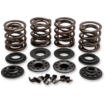 VALVE SPRING KIT.415 LIFT
