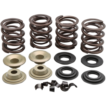 VALVE SPRING KIT.600 LIFT