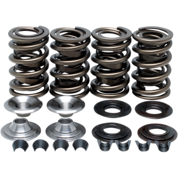 SPRING KT 84-04 BT .655TI