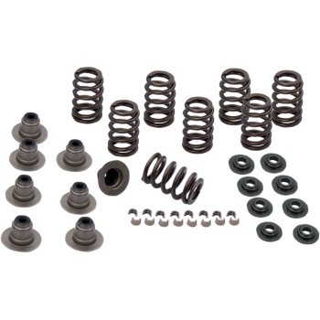 SPRING KIT.605" M8 17-19