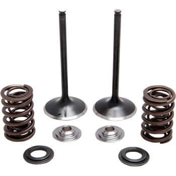 SPRING KIT SS CFR450X 05+