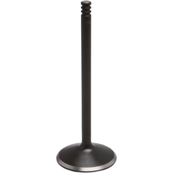 VALVE EXH 1.575 TC 05-17