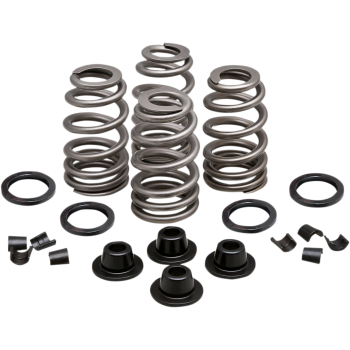 SPRING KT.660 84-04EVO/TC