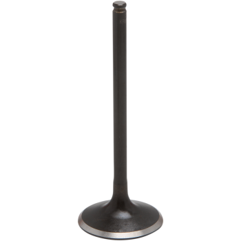 VALVE EXHAUST BD STD