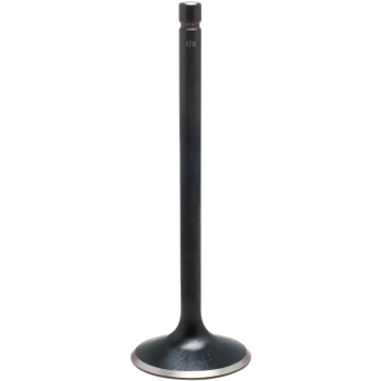 VALVE INTAKE SS STD 79-82