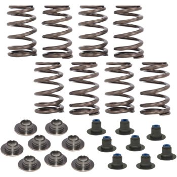 SPRING KIT .540 17-19 M8