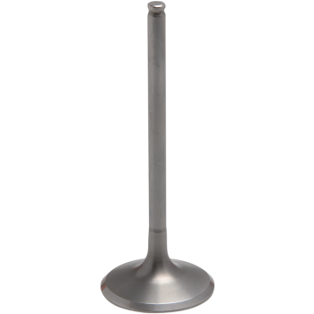 VALVE INTAKE STD CRF450R