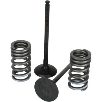 VALVE KT GB CRF450R 02-06