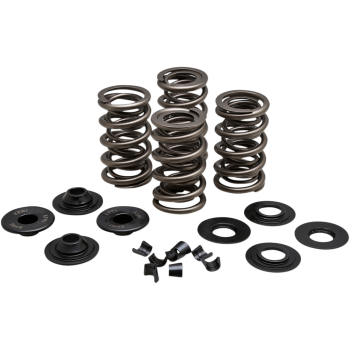 SPRING KIT .650 VL EVO/TC