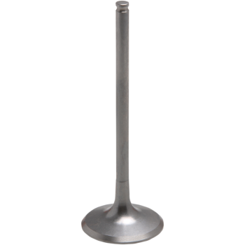 VALVE EXH TI STD YZ250F19