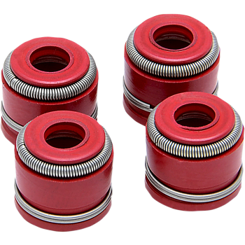SEAL VG 4/PK YZ250F 2019