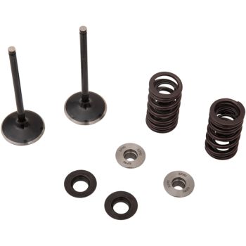 VALVE KIT IN MSE YZ 250F