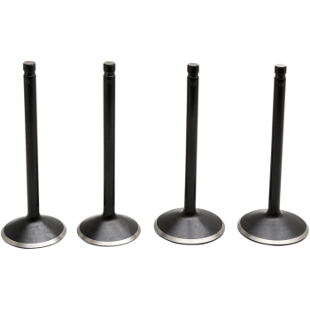 VALVE KIT 99-04 TC 88