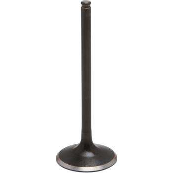 VALVE INTAKE STD 500R