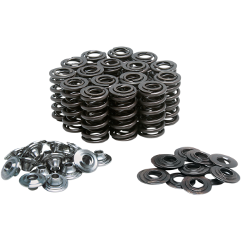 VALVE SPRING KIT GSXR1000