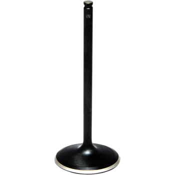 VALVE INTAKE STD RZR900