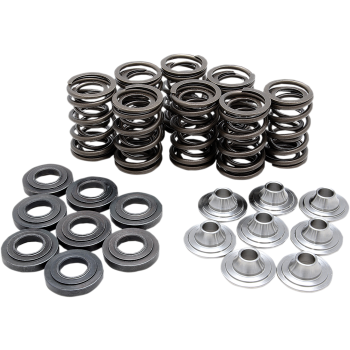 SPRING KIT VALVE TI RZR