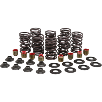 SPRING KIT VALVE STL RZR