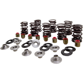 SPRING KIT VALVE TI RZR