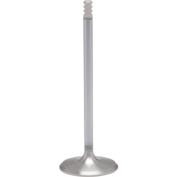 VALVE EXHAUST STD M8 17+