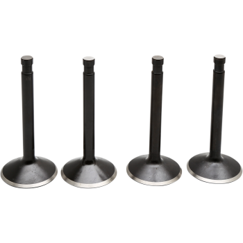 VALVE KT SHOVEL 74 66-77