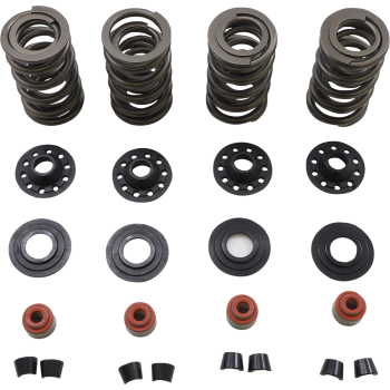 SPRING KIT 05-17 TC/XL