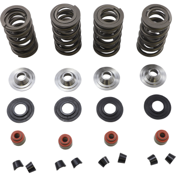 SPRING KIT 05-17 TC/XL