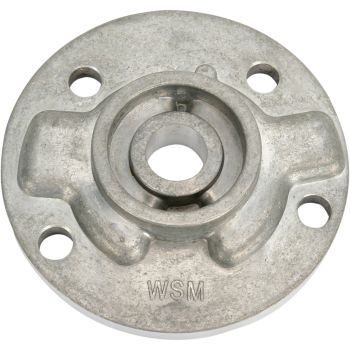 PUMP CVR PLATE SEA DOO