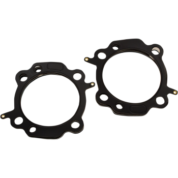 GASKETS HD 3.94 TC