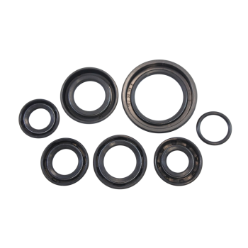 OIL SEAL KIT KOS003