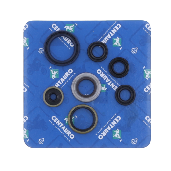 SEAL OIL KT/HV
