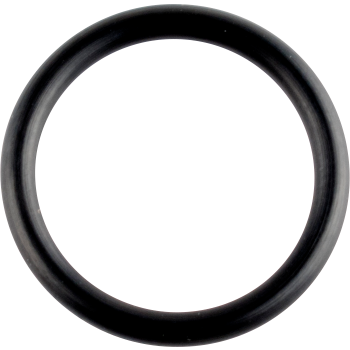ORING CRANKCASE
