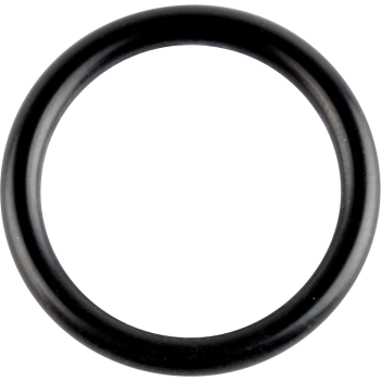 ORING CRANKSHAFT