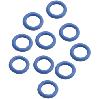 O-RING ACCL PUMP CAP E/G 10PK