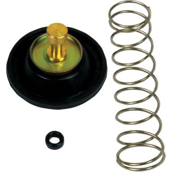 CARB AIR CUTOFF VALVE SET