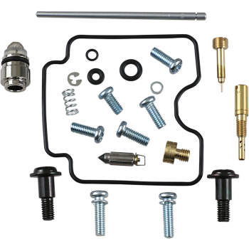 CARB KIT YAM XV1600 RDSTR
