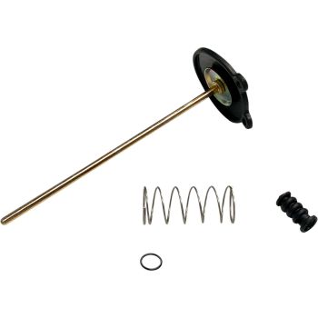 PUMP ACCEL 16021-393-014