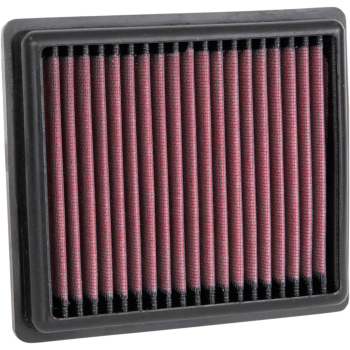 AIR FILTER INDIAN FTR