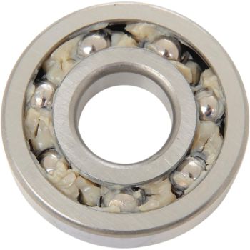 BEARING 8970