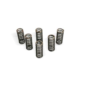 CLUTCH SPRING KIT KTM POL