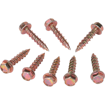 CLUTCH CVR SCREWS POL