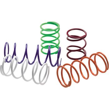 SPRING CLUTCH PRIMARY POL