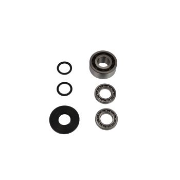 DIF BEARING & SEAL KIT FR