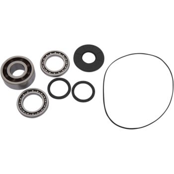 BEARING KIT DIFF FT POL